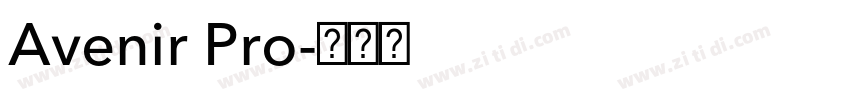 Avenir Pro字体转换 Avenir Pro字体转换